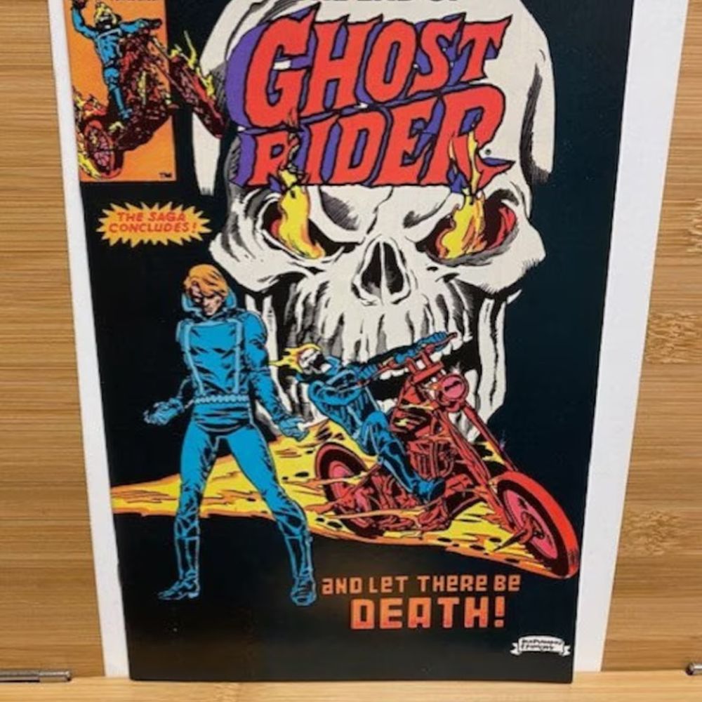 Ghost Rider Issue #81